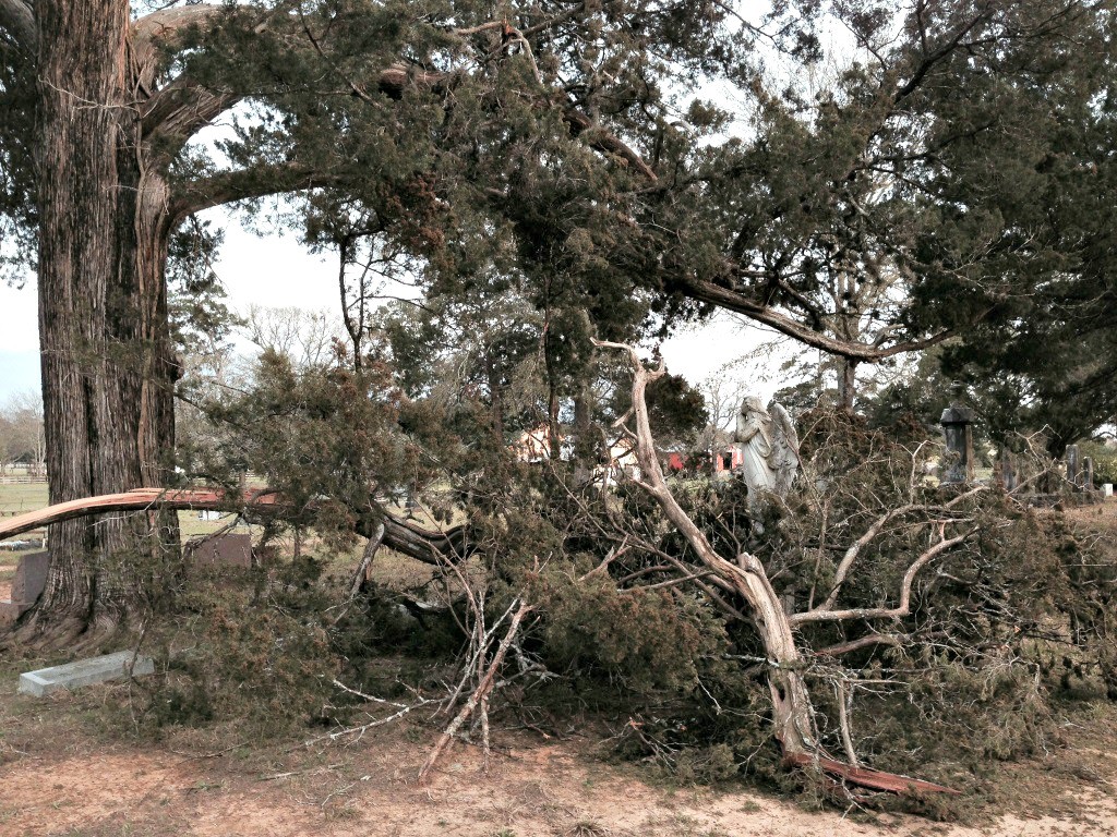 icestorm-january-2014Cedar-by-Trimble-1